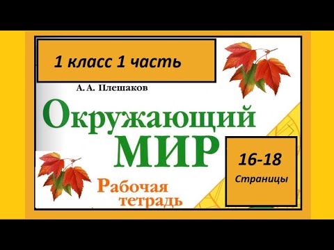 Видео: Окружающий мир 1 класс Что это за листья? страница 16-18.
