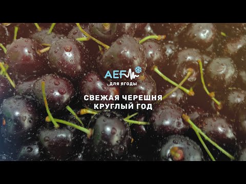 Видео: Черешня после заморозки - свежая круглый год