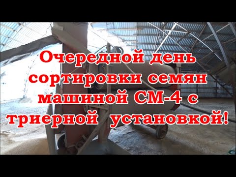 Видео: Очередной день сортировки семян машиной СМ-4 с триерной  установкой!