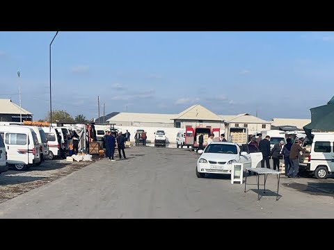 Видео: УЗУМЛАР УЧЯБДИ. ОЛТИАРИҚ УЗУМ БОЗОР