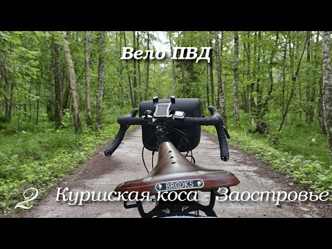 Видео: Велопоход на Куршскую косу #2