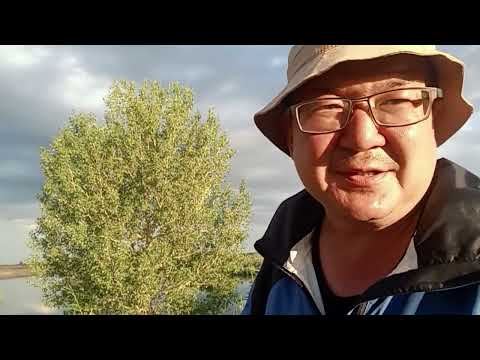 Видео: VELOTUR.KZ // Часть 10: Семей – Курчатов