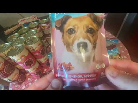 Видео: Распаковка посылки 📦 из Бетховена.