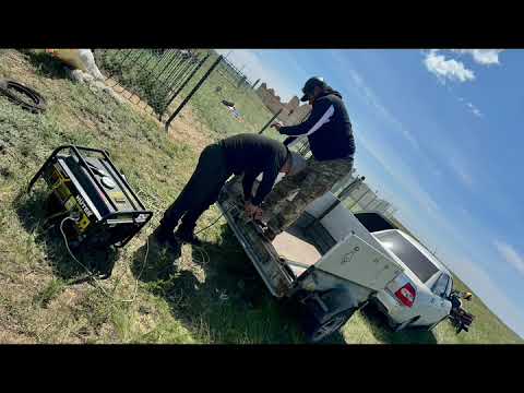 Видео: БҚО, Қаратөбе ауданы, Ақтай-сай ауылы . Қаратөбе совхозының 1-ші фермасы Қуағаш бөлімшесі.