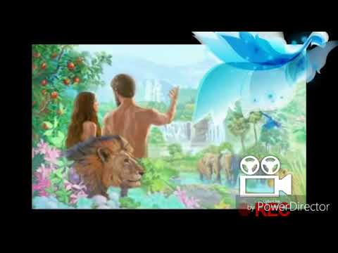 Видео: ОДАМ ОТА  ВА МОМО ХАВО