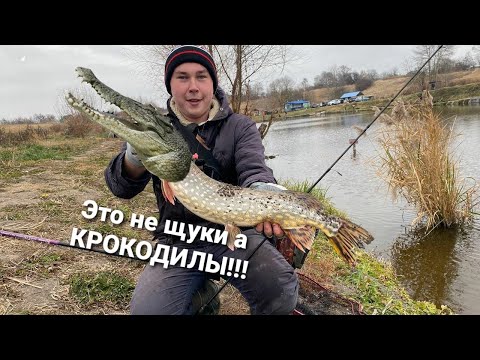 Видео: ЭТО НЕ ЩУКИ А КРОКОДИЛЫ!!!  КРАШ ТЕСТ Favorite BLACK SWAN