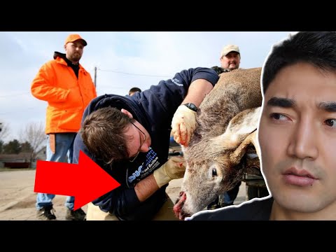 Видео: БУГАНУУД ЗОМБИ БОЛЖ БАЙНА. ДАРАА НЬ ХЭН БЭ?