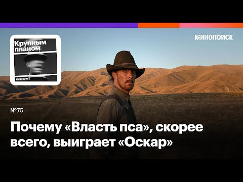 Видео: Почему «Власть пса», скорее всего, выиграет «Оскар»