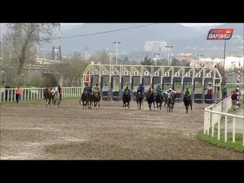 Видео: Пойгаи равон / Аспдавонӣ. Ҷоми Пойтахт (30.03.2019)