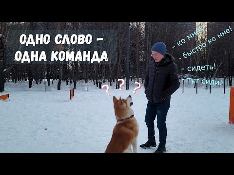 Видео: Одно слово - одна команда. Разбираем ошибки