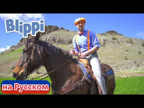 Видео: Блиппи на коне! | Блиппи на Русском | Изучай этот Мир вместе с Блиппи | Blippi