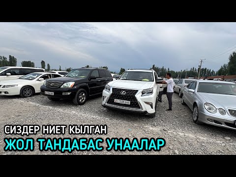 Видео: ЖОЛ ТАНДАБАС УНААЛАРЫ / 09_06_2024 / ЖАПАЛАК УНАА БАЗАРЫ