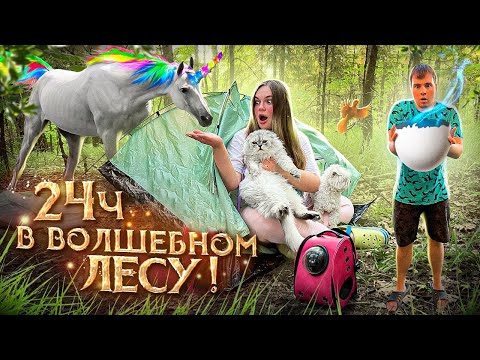 Видео: 24 ЧАСА В ВОЛШЕБНОМ ЛЕСУ С КОТОМ КЕВИНОМ И ЩЕНКОМ БИЛЛИ
