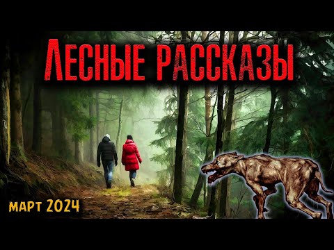 Видео: ЛЕСНЫЕ РАССКАЗЫ | Страшные истории