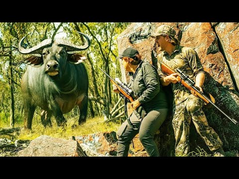 Видео: Охотник против гигантского буйвола-монстра | Захватывающая охота в глубоких джунглях