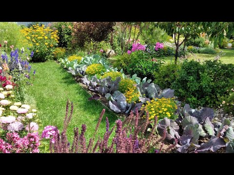 Видео: Необычные Совмещённые Посадки Цветов☘ и Овощей🍅 на Клумбах и Огороде #цветы #огород #овощи