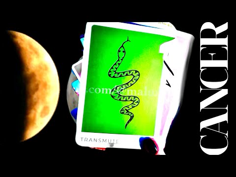 Видео: РАК 10/10 Портал Что вам нужно знать🔮 Вы в шоке от того, насколько вы защищены! Любовная встреча ...