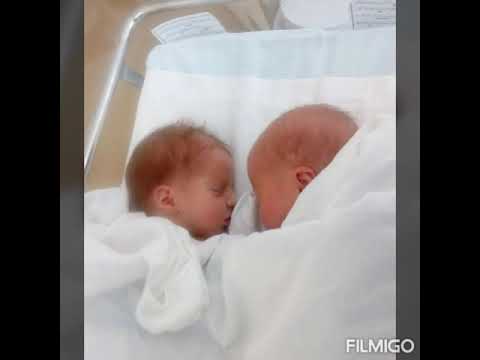 Видео: В память о моей птичке❤