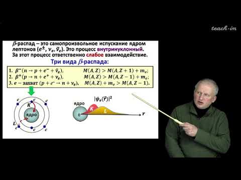 Видео: Широков Е.В. - Физика ядра и частиц - 11. Радиоактивные распады