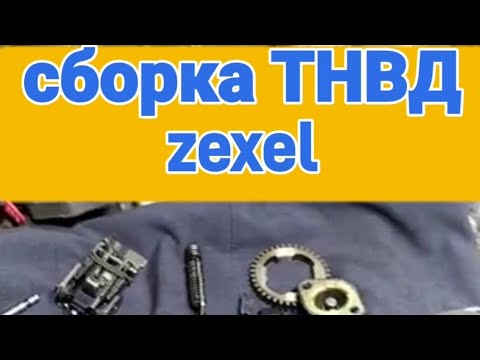 Видео: Сборка ТНВД Мазда МПВ-1 1996 wlt  lvlr