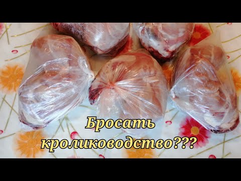 Видео: ХОТЕЛ БРОСИТЬ КРОЛИКОВОДСТВО, НО ПЕРЕДУМАЛ........