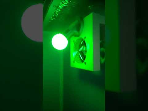 Видео: 10 июня 2020 г.