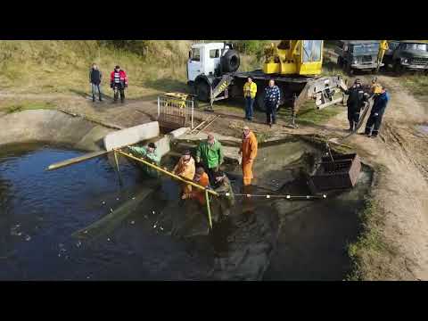 Видео: РЫБХОЗ КРАСНАЯ СЛОБОДА