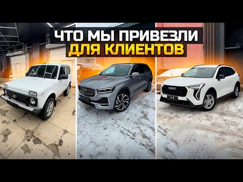 Видео: Что привезли для клиентов / LADA NIVA LEGEND GEELY MONJARO HAVAL JOLION