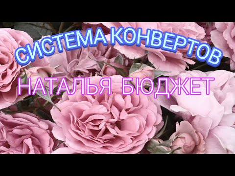 Видео: Деньги по конвертам. Мои изменения.