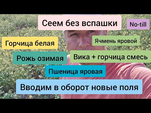 Видео: Запуск полей без обработки почвы. Сеем без вспашки.