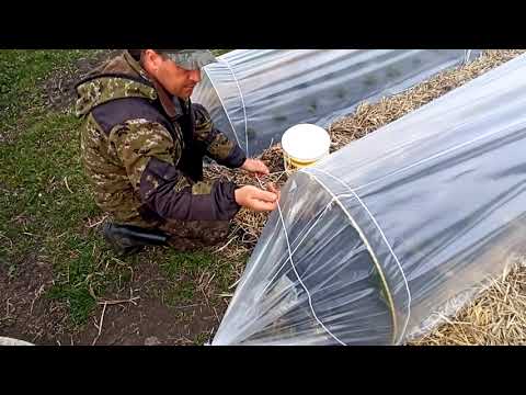 Видео: Мини туннели для клубники