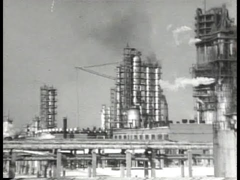 Видео: Кинохроника АНХК
