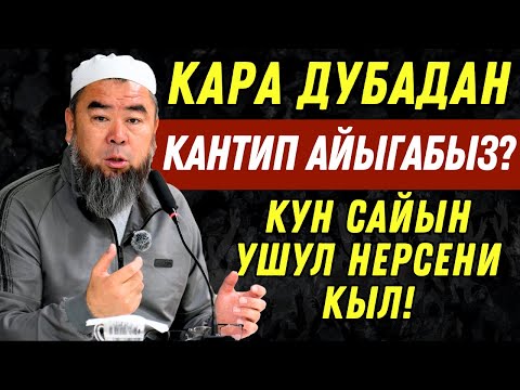 Видео: КАРА ДУБАДАН КАНТИП АЙЫГАБЫЗ! КҮН САЙЫН УШУЛ НЕРСЕНИ КЫЛ! БАТ ЭЛЕ АЙЫГАСЫҢ!
