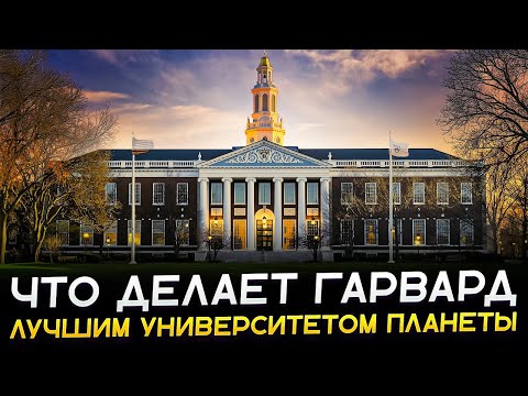 Видео: Честное интервью со студентами Гарварда 