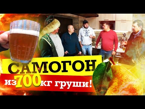 Видео: Самогон из груши / ШНАПС / Грушевый сидр