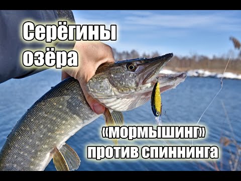 Видео: Мормышка против спиннинга