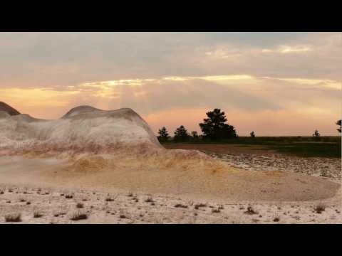 Видео: Наурзум.  Ленточный бор Терсек