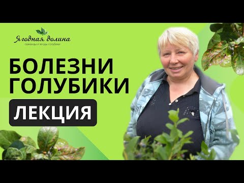 Видео: Болезни голубики. Лекция Татьяны Курлович на Международной выставке "Сады и ягоды" в г. Майкоп