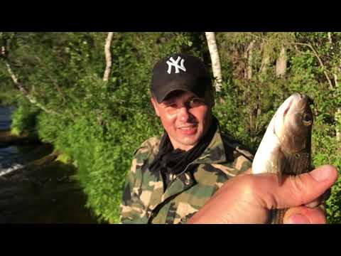 Видео: Кутсайоки - Водопадный - Днёвка - Рыбалка