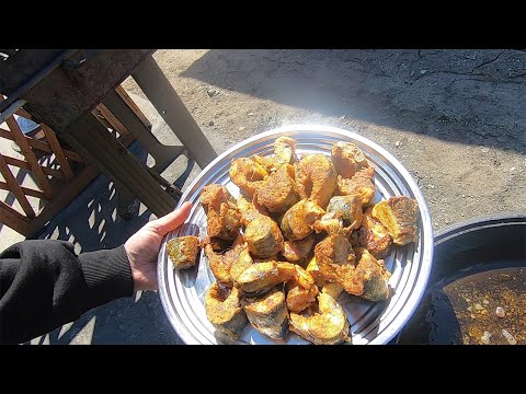 Видео: ТАКУЮ РЫБУ Я ЛЮБЛЮ. СКУМБРИЯ С ОВОЩАМИ НА СКОВОРОДЕ