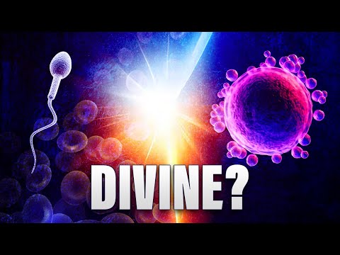 Видео: Семя божественно