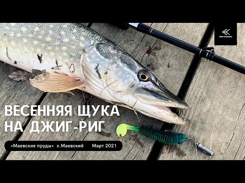 Видео: Весенняя щука на джиг-риг. Злые поклёвки. Бойкие щуки.