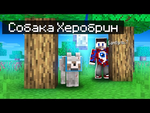 Видео: 😱Моя Собака Стала 100% ХЕРОБРИНОМ в Майнкрафт!