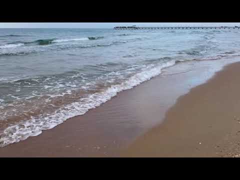 Видео: Новые выбросы мазута. Исследуем пляж Витязево. Октябрь 2025