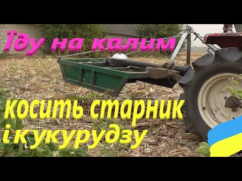 Видео: Мінітрактор Yanmar ке-3 # Косим старник і кукурудзу #СамСобіПан
