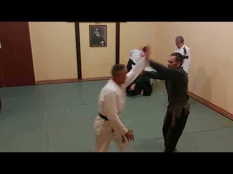 Видео: Айкидо (никкё и тенчи-наге)