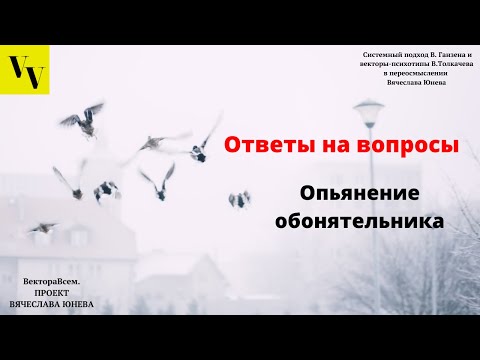 Видео: Опьянение обонятельника. ВектораВсем. Проект Вячеслава Юнева