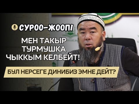 Видео: СУРОО-ЖООП! БУУЛУГУП, СЫГЫЛЫП, ЫЗААКОР БОЛУП ЫЙЛАЙ БЕРЕМ ЭМНЕ КЫЛСАМ БОЛОТ?