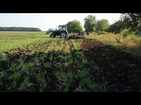 Видео: Дискую полупар. Потери. Такое бывает. Трактор мтз 82, дискатор 2.8м.