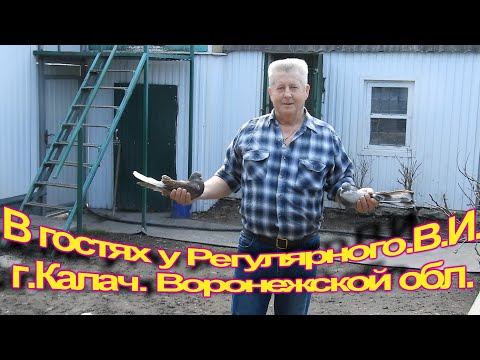 Видео: В гостях у Регулярного В И,  г Калач  Воронежской обл